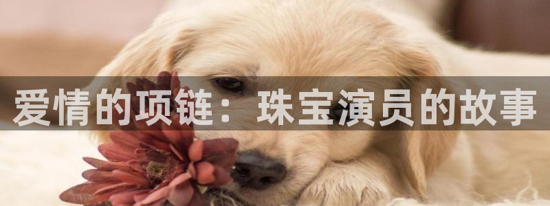 中国证券新航娱乐官网：爱情的项链：珠宝演员的故事