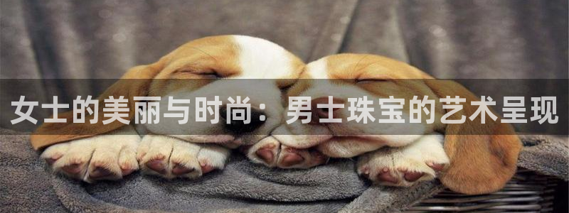 新航娱乐最高返点多少