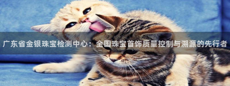 新航娱乐app下载安卓