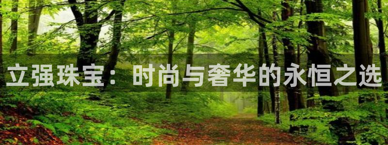 新航娱乐传媒怎么样知乎