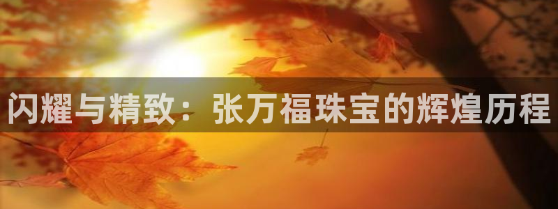 邯大新航娱乐