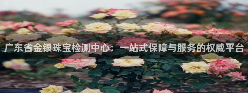 新航娱乐公司问题
