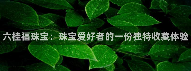 新航娱乐代理
