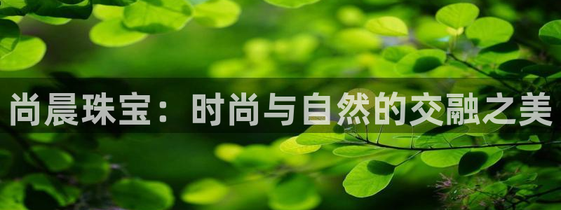 新航海娱乐会所地址