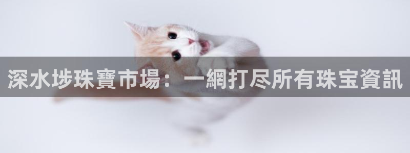娱乐新航线
