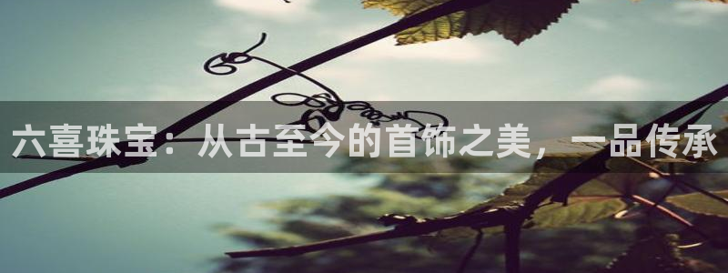 新航娱乐开户