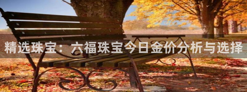 新航娱乐
