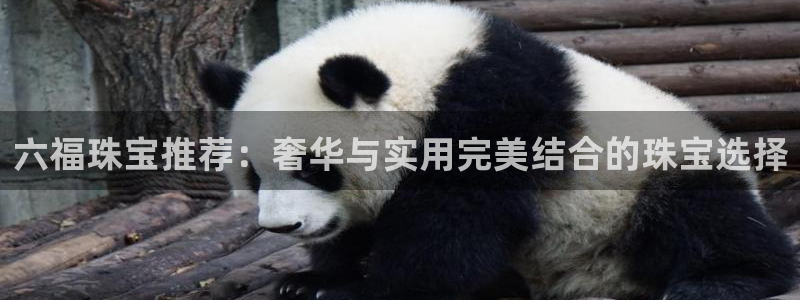 新航娱乐