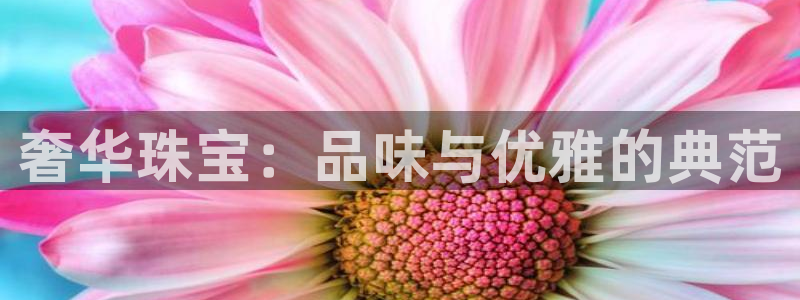 新航海娱乐会所怎么样