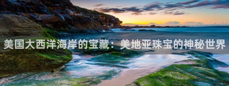 中国新航娱乐官网入口