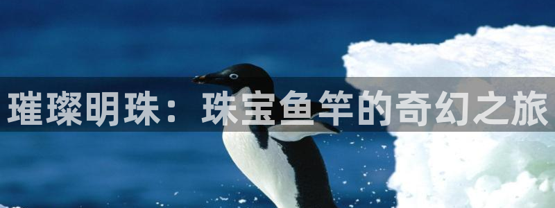 新航娱乐网址