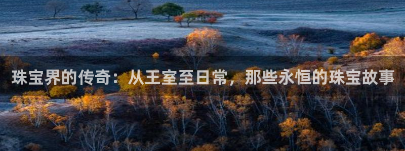 新航sq806娱乐系统：珠宝界的传奇：从王室至日常，那些永恒
