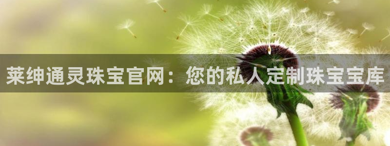 新航娱乐入网要求