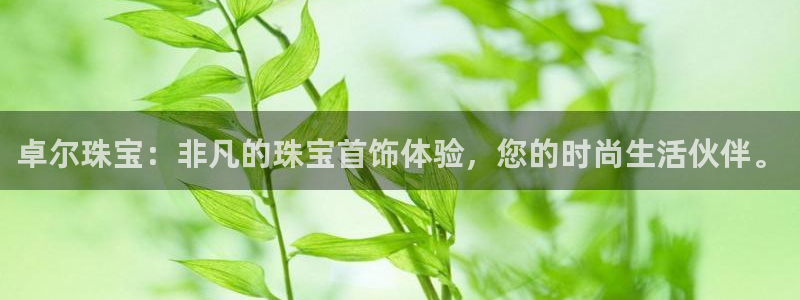 新航新客舱机上娱乐银