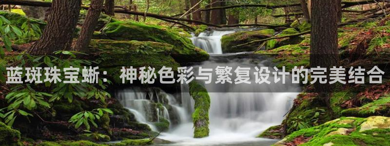 新航娱乐传媒怎么样
