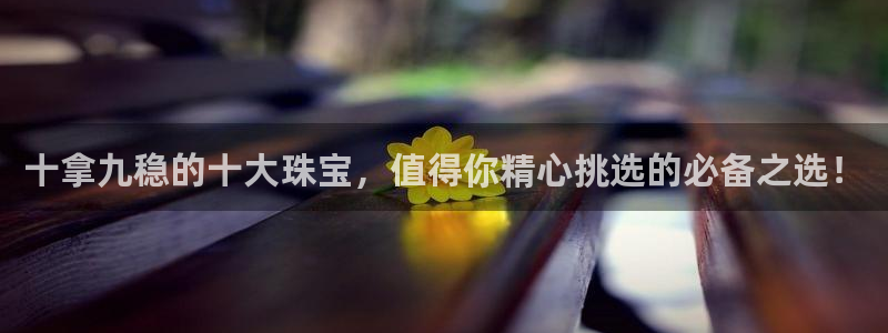新航文化娱乐传媒招聘