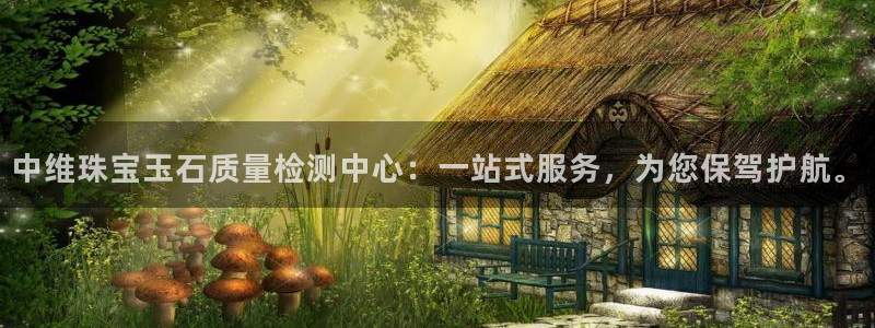 新航娱乐公司怎么样知乎