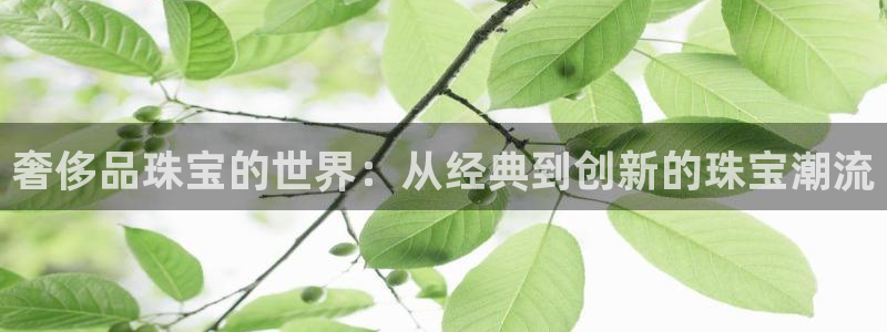 新航娱乐的创始人简介