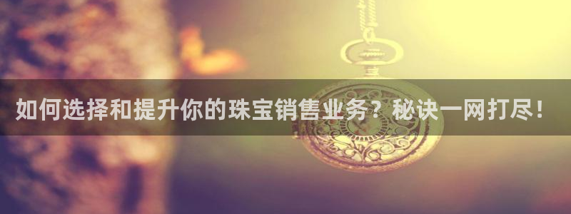 新航娱乐主管是谁