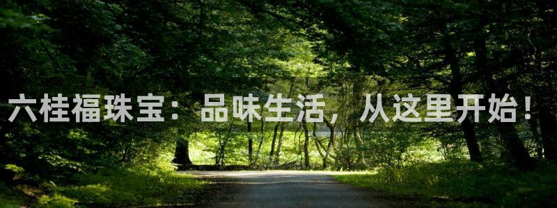 新航娱乐公司艺人招聘