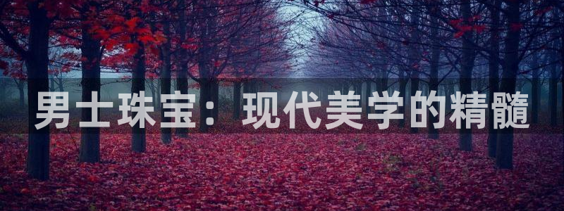 新航娱乐下载安装