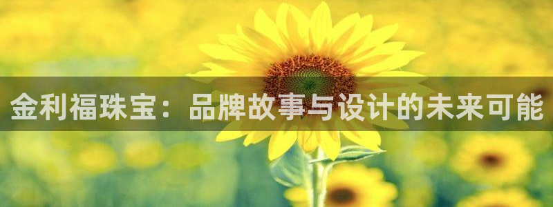 新航娱乐公司地址查询