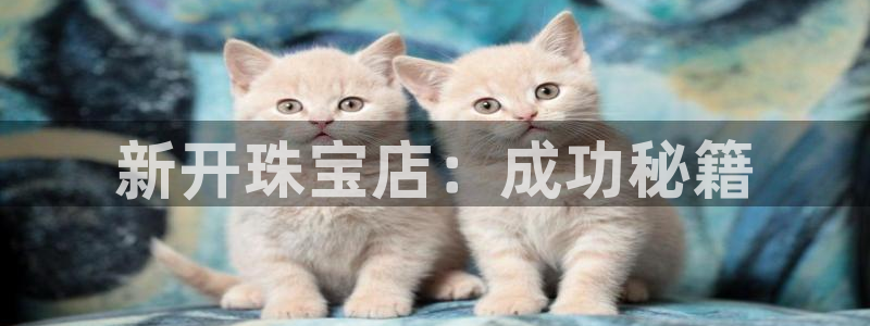 新航娱乐最新开户信息：新开珠宝店：成功秘籍