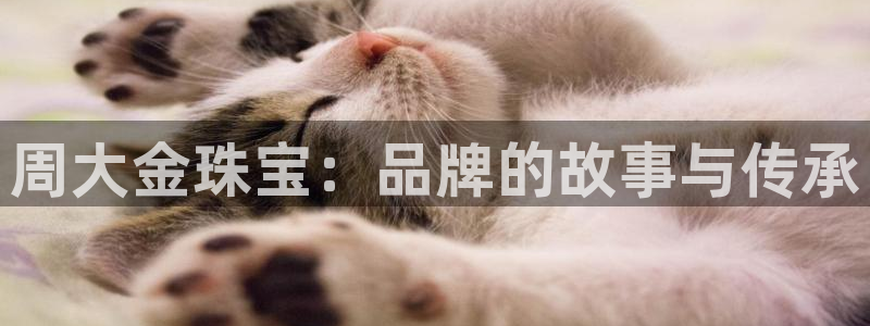 新航娱乐娱乐官方网站