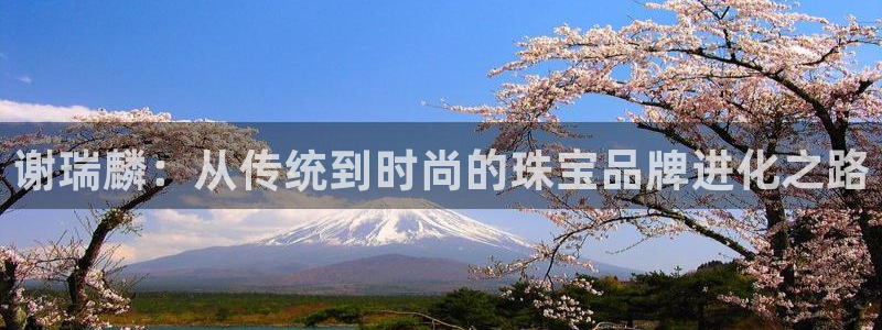 新航娱乐系统设置
