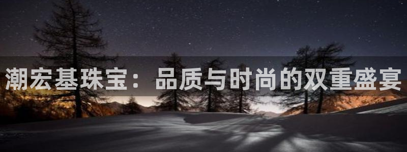 新航娱乐有限公司
