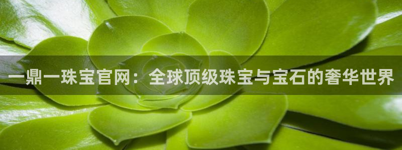 新航娱乐入网要求