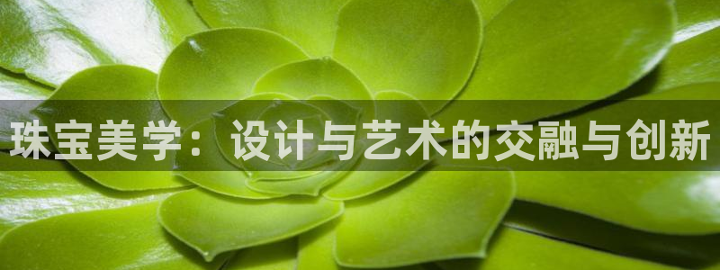 新航海娱乐会所怎么样啊
