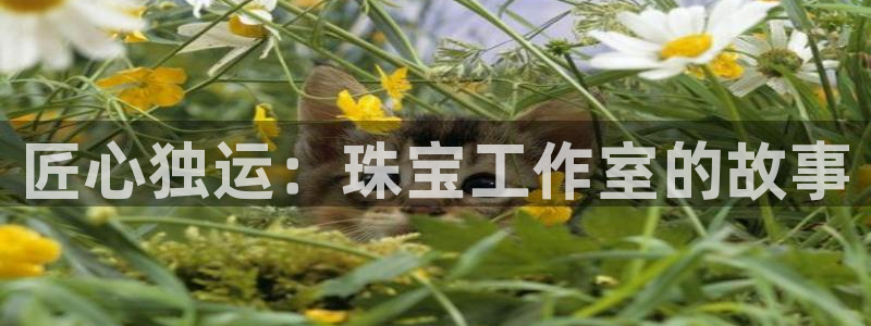 新航 娱乐系统