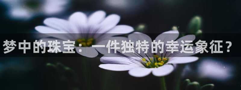 新航娱乐怎么样知乎：梦中的珠宝：一件独特的幸运象征？