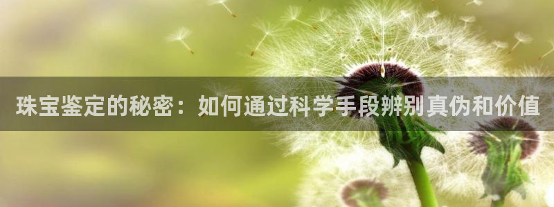 新航娱乐官方首页