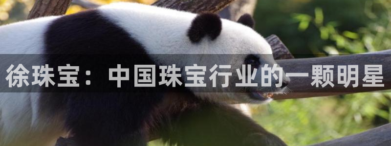 新航娱乐公司地址查询