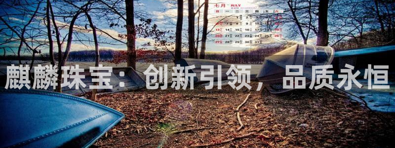 新航娱乐有限公司怎么样