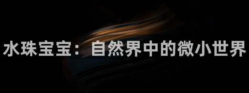 新航娱乐公司招聘
