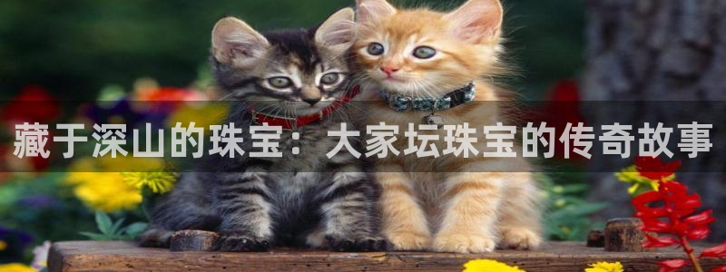 新航足浴娱乐会所