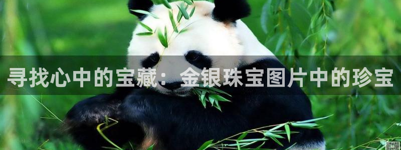 中国新航娱乐官网入口