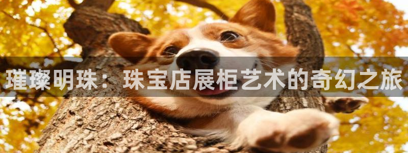 新航娱乐公司艺人招聘