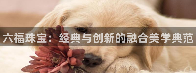 新航娱乐黑：六福珠宝：经典与创新的融合美学典范