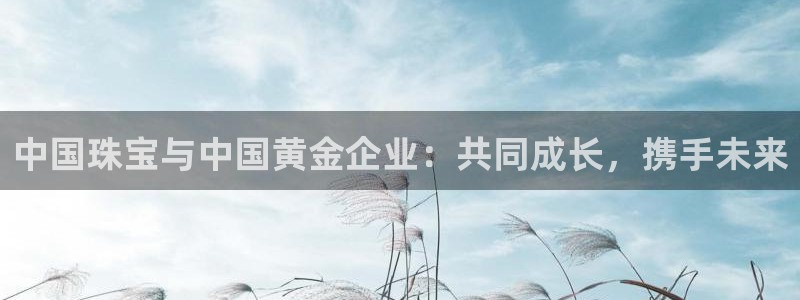 新航娱乐属于什么级别