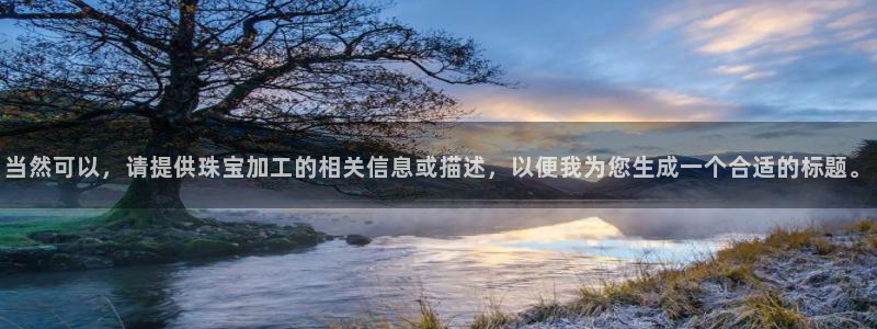 新航娱乐观