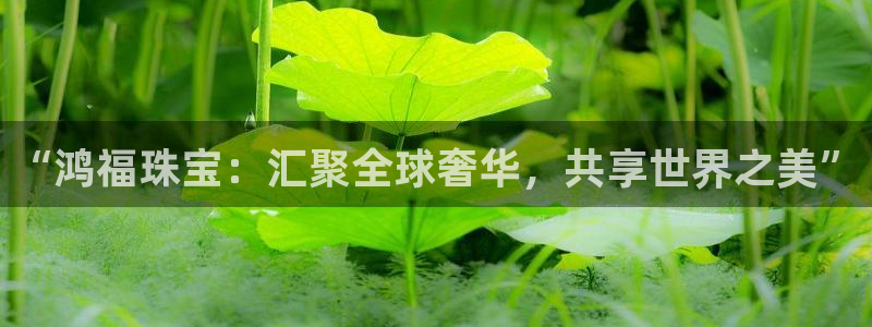 新航娱乐值得买吗