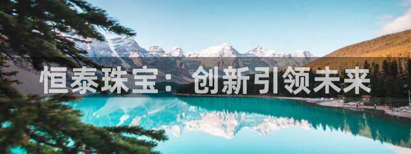 新航娱乐管理有限公司