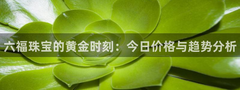 新航娱乐公司简介资料