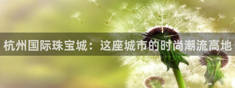 新航娱乐公司问题