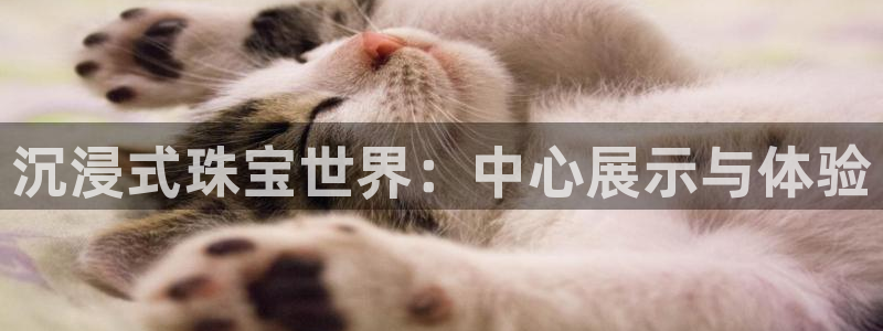 新航海娱乐会所