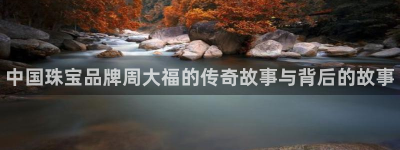 新航文化娱乐传媒怎么样
